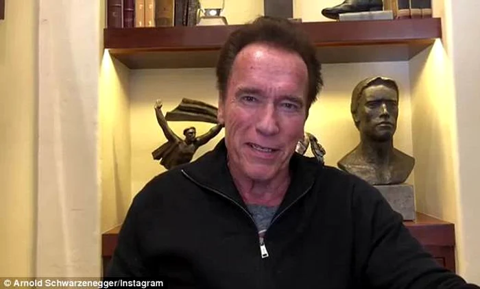 arnold jpeg