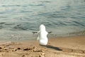 prognoza meteo 5 ianuarie jpg