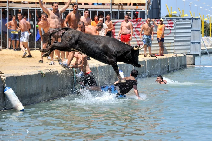 La serbările spaniolilor taurii sunt nelipsiţi FOTO Shutterstock