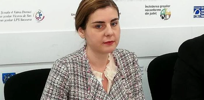 Ioana Petrescu, fost ministrul de Finanţe FOTO:svnews.ro