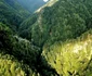 Munţii Făgăraş deţin „cea mai sălbatică vale a Europei” în Vâlcea - Valea Boia Mică Foto Agent Green - credit Matthias Schickhofer - Euro Natur