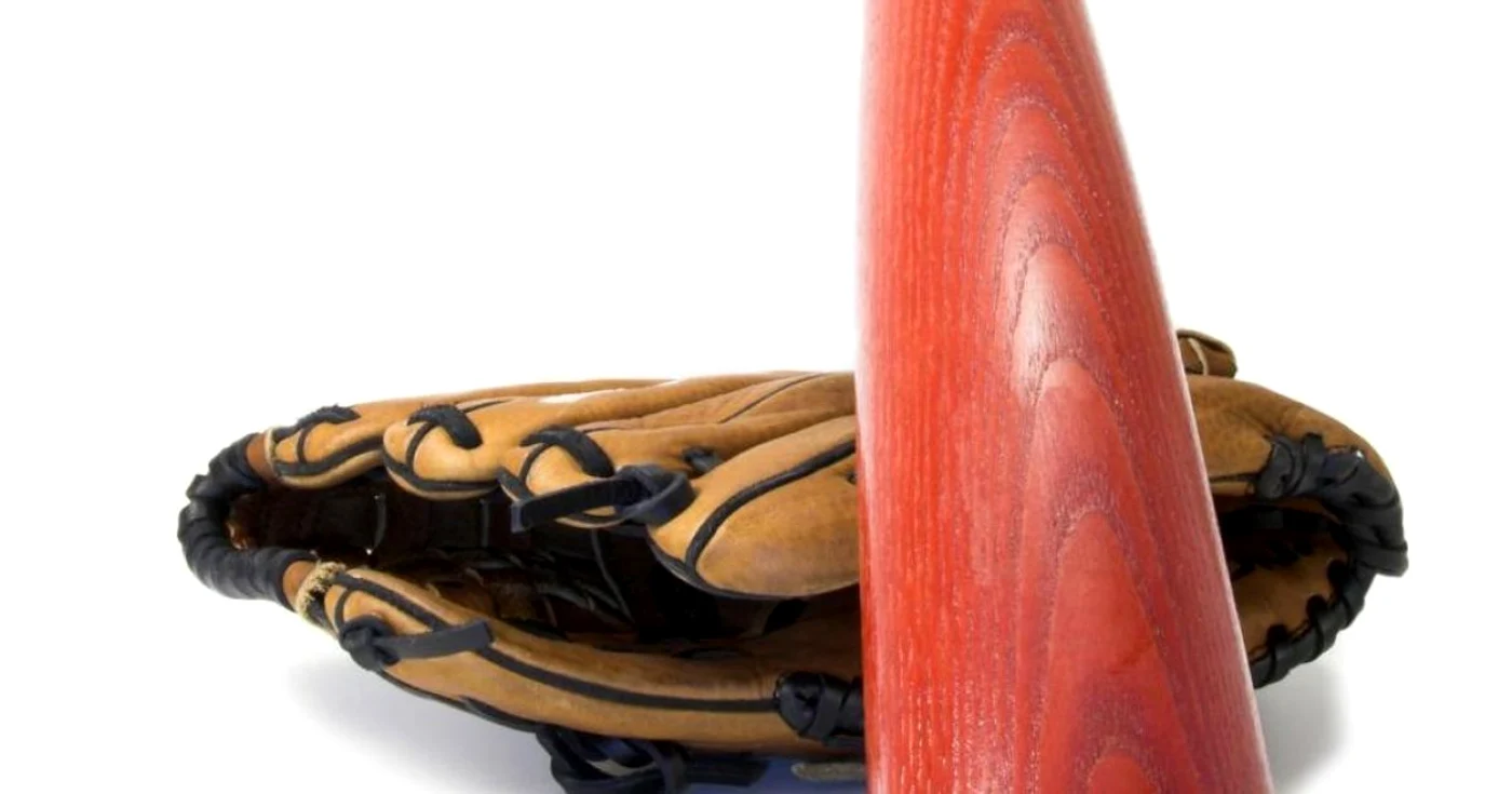 Bâtă de baseball (Foto arhivă)