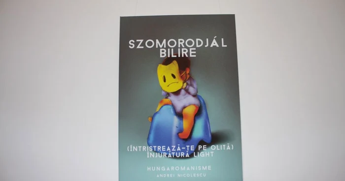 Expresiile sunt traduse mot-a-mot din maghiară în română sau invers, 
amuzându-i pe cei care trec pragul expoziţiei FOTO: Bianca Sara