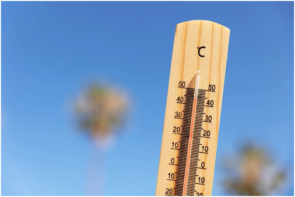 Prognoza meteo pentru intervalul 22 iunie - 20 iulie 2026. Foto: magnific.com