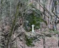 Valea Arsului, Hunedoara  Foto Daniel Guță ADEVĂRUL (80) JPG