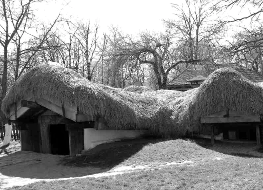 
    Satul românesc din secolul al XIX-lea era lipsit de orice urmă de civilizaţie modernăFoto: visitromanati.wordpress.com  
