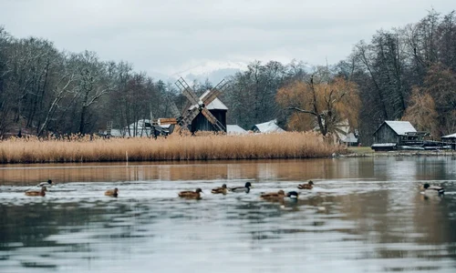Tarife crescute pentru vizitarea Muzeului ASTRA din Sibiu jpeg