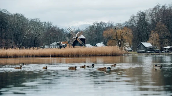 Tarife crescute pentru vizitarea Muzeului ASTRA din Sibiu jpeg