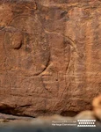 Gravuri reprezentând animale în mărime naturală, vechi de 12.000 de ani, descoperite în Arabia Saudită (© Heritage Commission)