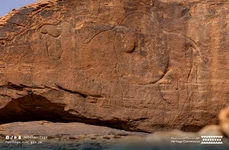 Gravuri reprezentând animale în mărime naturală, vechi de 12.000 de ani, descoperite în Arabia Saudită (© Heritage Commission)