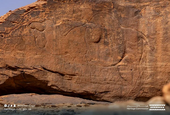 Gravuri reprezentând animale în mărime naturală, vechi de 12.000 de ani, descoperite în Arabia Saudită (© Heritage Commission)