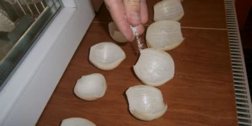 Află cum va fi vremea, în 2012, cu ajutorul cepei 