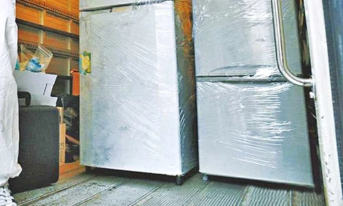 A cumpărat două congelatoare pentru  a şi ţine părinţii tranşaţi jpeg