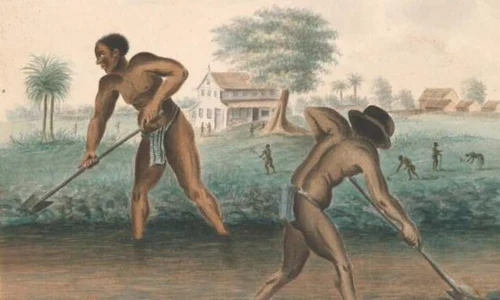 Expoziţie la Amsterdam despre trecutul colonial al Olandei și comerţul cu sclavi jpeg