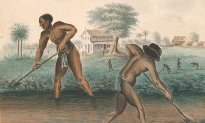 Expoziţie la Amsterdam despre trecutul colonial al Olandei și comerţul cu sclavi jpeg