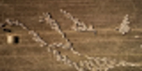 Proiect Dobrogea - fotograf Mircea Bezergheanu Sursa Facebook Proiect Dobrogea. Dobrogea Geographic