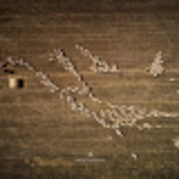 Proiect Dobrogea, de Mircea Bezergheanu Sursa Facebook Proiect Dobrogea. Dobrogea Geographic
