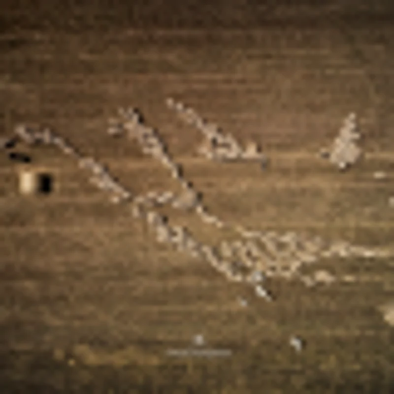 Proiect Dobrogea - fotograf Mircea Bezergheanu Sursa Facebook Proiect Dobrogea. Dobrogea Geographic