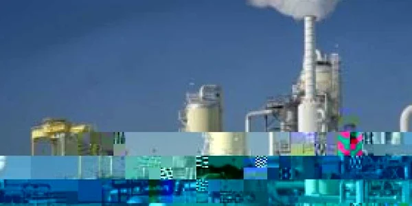 FMI monitorizează zece companii româneşti de stat