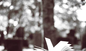 Cum se publică o carte în Statele Unite jpeg