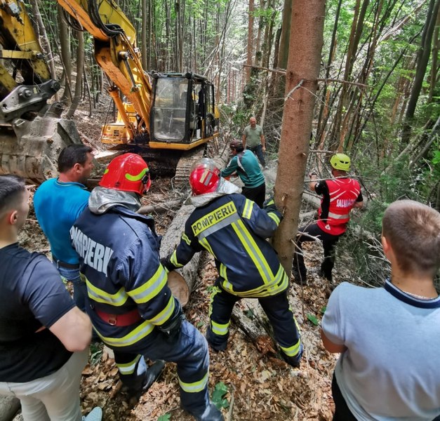 Patronul unei firme de exploatare forestieră, vinovat de moartea unui tăietor de lemne