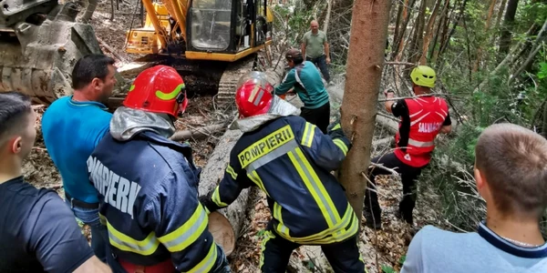 Tăietor de lemne zdrobit de un arbore lângă excavator într-o pădure din Horezu - Vâlcea Foto ISU Vâlcea 