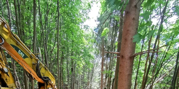 Tăietor de lemne zdrobit de un arbore lângă excavator într-o pădure din Horezu - Vâlcea Foto ISU Vâlcea 
