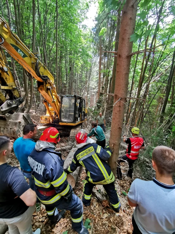 Tăietor de lemne zdrobit de un arbore lângă excavator într-o pădure din Horezu - Vâlcea Foto ISU Vâlcea