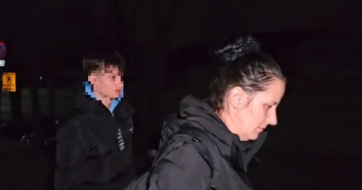 Familia minorului din Cenei ar putea părăsi țara