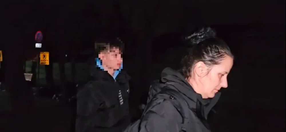 Minorul de 13 ani din Timiș încearcă să-și justifice crima: „Mă înjura, mă bătea”. Ce le-a povestit bunicilor