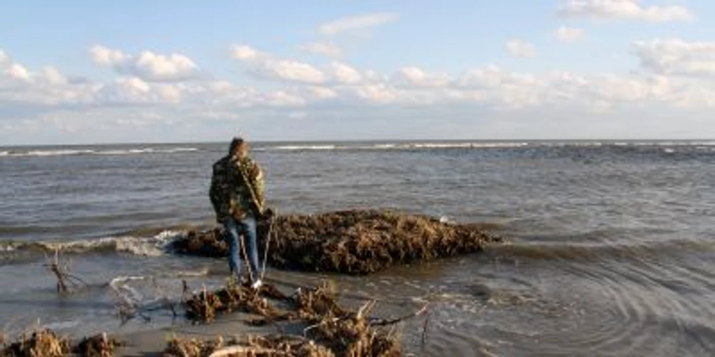 Tinerii au sărbătorit Ziua Internaţională a Mării Negre