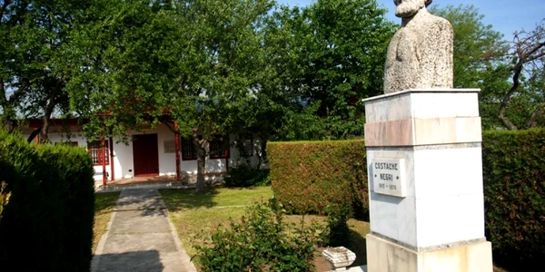 casa memoriala costache negri