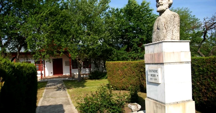 Statuia lui Costache Negri şi casa memorială de la Mânjina FOTO Adevărul