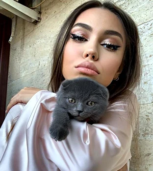 mira pisica pablo 0 png