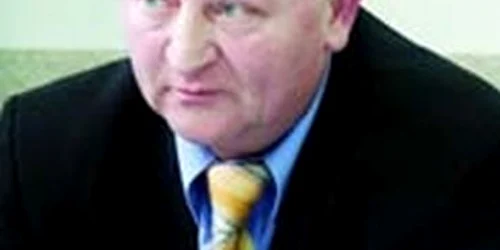 Satu Mare:  Catrinel Raţ s-a răsturnat cu maşina într-un şanţ