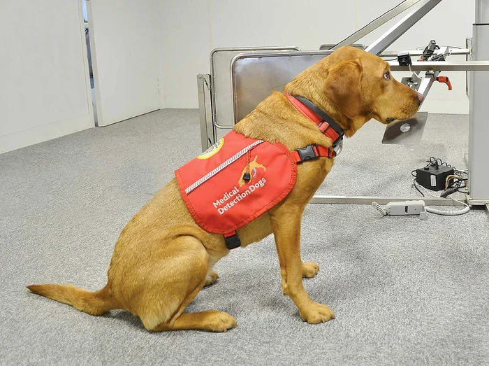 Foto: guliver/splashnews