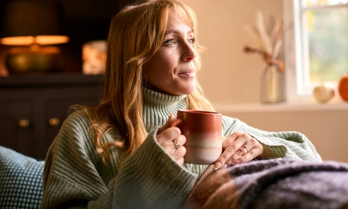 Metoda finalandeza de a incalzi casa  Sursa foto shutterstock 2390967661 jpg