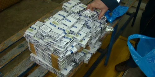 Ţigările au fost confiscate de poliţiştii de frontieră FOTO