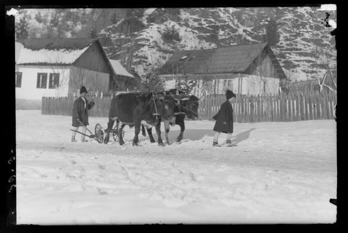 Mersul cu plugușorul FOTO imagoromaniae