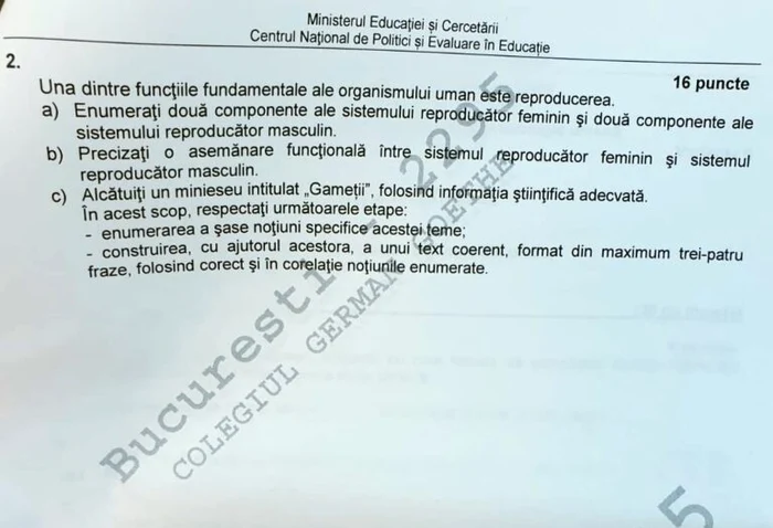 
    Sursa foto: edupedu.ro  