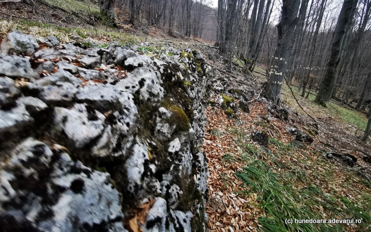 marele zid dacic cioclovina ponorici foto daniel guta adevarul