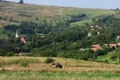 satul inlaceni jpg