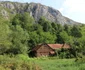 Valea Geoagiului Foto Daniel Guță ADEVĂRUL (10) JPG