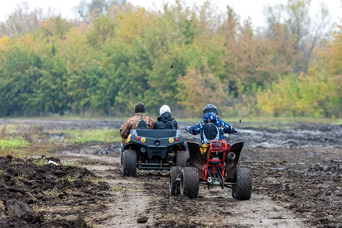 O plimbare în natură s-a transformat într-un eveniment nedorit