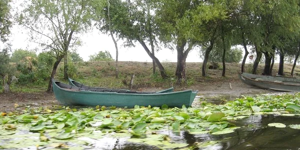 Delta Dunării, imagini superbe