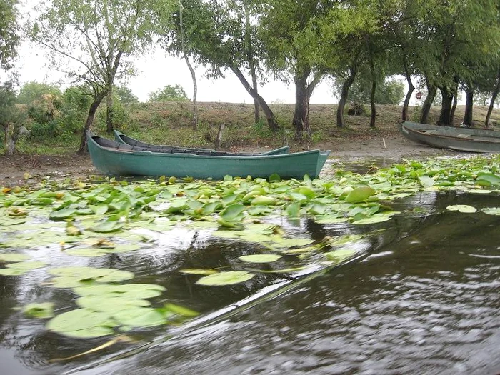 Delta Dunării, imagini superbe