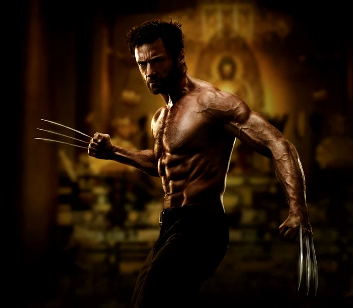wolverine 2