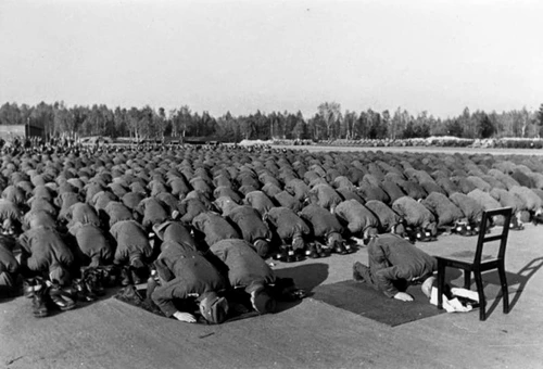 divizia Waffen SS 13 1943 jpg jpeg
