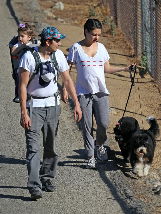 Exclusive    Pregnant Mila Kunis, Ashton Kutcher, & Daughter Wyatt Out Walking Their Dogs jpeg