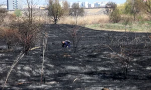 incendiu Văcărești JPG 3 JPG